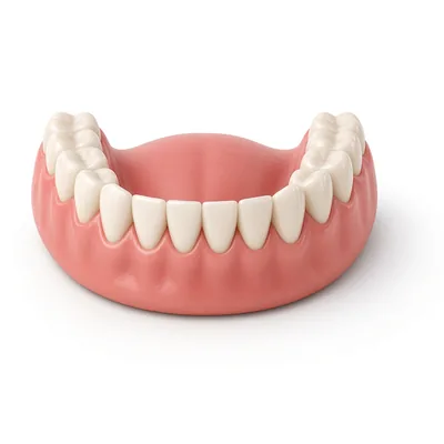 3D illustration of a full denture with pink gums
